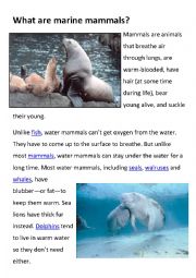 English Worksheet: Fun facts on marine animals worksheets