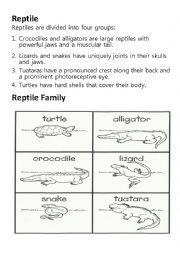 English Worksheet: Fun facts on Reptile