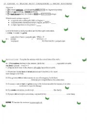 If-clauses / Make hypotheses about the environment