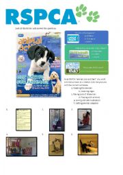 English Worksheet: RSPCA 