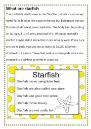 Worksheets on starfish