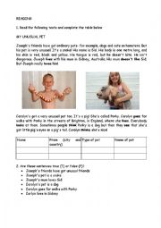 English Worksheet: My unusual pet