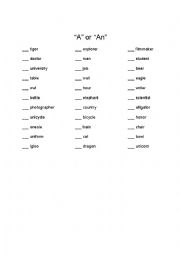 A/An Worksheet