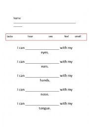 English Worksheet: sense organ