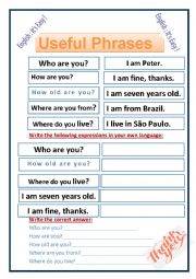 English Worksheet: Useful Phrases