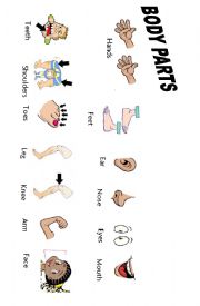 English Worksheet: Body Parts 