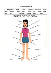 English Worksheet: Part of the Body