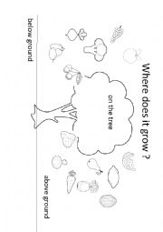English Worksheet: Where does it grow?