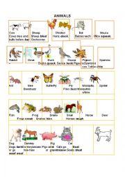 English Worksheet: animals