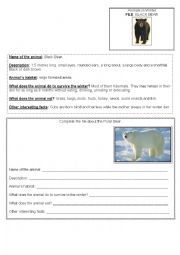 English Worksheet: Animals. Black Bear/Polar Bear.