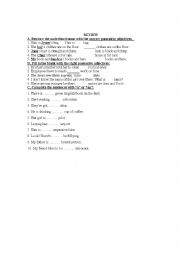 English Worksheet: Exercise Possessive pronouns