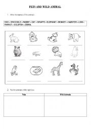 English Worksheet: Pets / Wild Animals