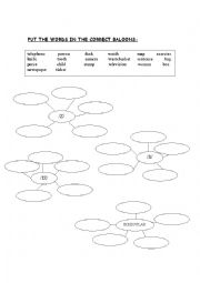 English Worksheet: plural words