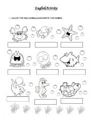 English Worksheet: Sea Animals