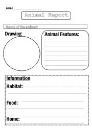 Animal Report Template