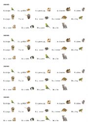 English Worksheet: Animals