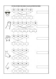 English Worksheet: human body