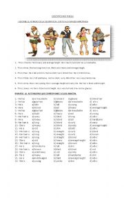 English Worksheet: Physical Descriptions