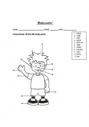 English Worksheet: Body parts