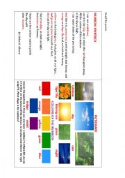 English Worksheet: RAINBOW PAINTBOX (a poem)