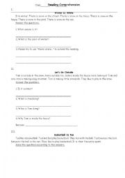 English Worksheet: Reading Comprehension Test