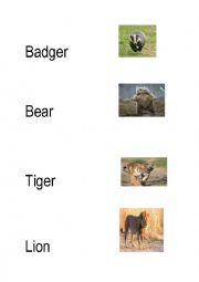 English Worksheet: animals names