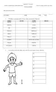 English Worksheet: exam PARTS OF BODY