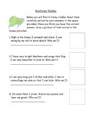 English Worksheet: Rainforest Riddles 