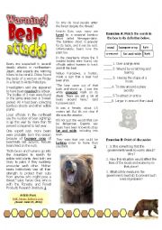 English Worksheet: Warning: Bear attacks!