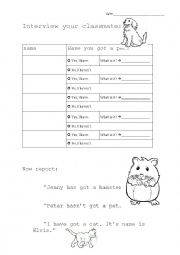 English Worksheet: Partnerinterview - Pets