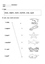 English Worksheet: sea animals