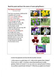 English Worksheet: EASTER FLOWERS