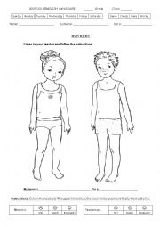 English Worksheet: Our body- Head, trunk and limbs