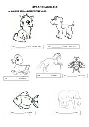 English Worksheet: ANIMALS AND COLOURS