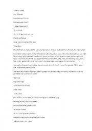 English Worksheet: Summer camp