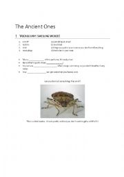English Worksheet: The Witches by Roald Dahl Chapter 11 The Ancient Ones