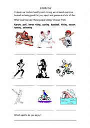 English Worksheet: Types of Exercise