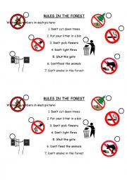 Rules in the forest matching exercise