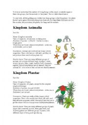 English Worksheet: THE KINGDOMS