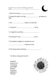 English Worksheet: Comopund Words