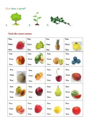 English Worksheet: How does it grow?