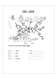 English Worksheet: HIS OR HER