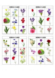 English Worksheet: Bingo game with flowers