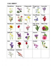 Bingo game with flowers CALL SHEET 