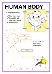 English Worksheet: Human Body