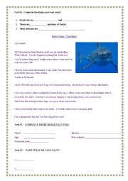 English Worksheet: Reading - The Shark