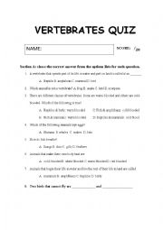 English Worksheet: vertebrates quiz