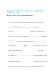 English Worksheet: homophones1