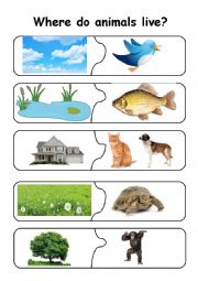 Animals - puzzle