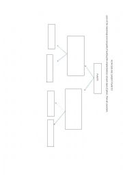 English Worksheet: PLANTS CLASSIFICATION DIAGRAM